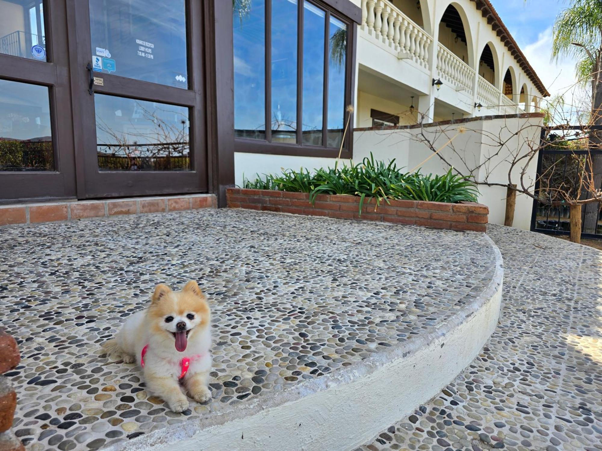 Hacienda Guadalupe Hotel 外观 照片