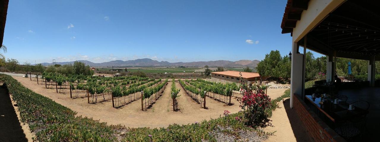 Hacienda Guadalupe Hotel 外观 照片